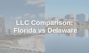 Delaware vs Florida LLC