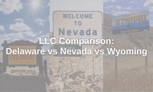 Delaware vs Nevada vs Wyoming LLC