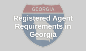 Registered Agen Requirements Georgia